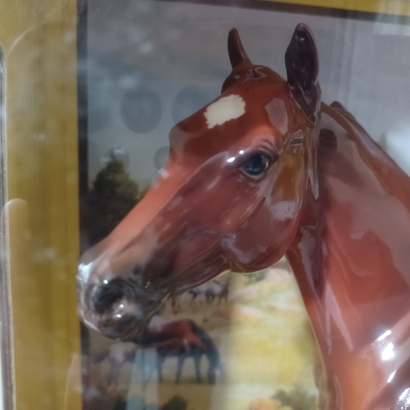 Breyer Collector's Club Appreciation Glossy Ideal Appaloosa - Picture 2 of 14
